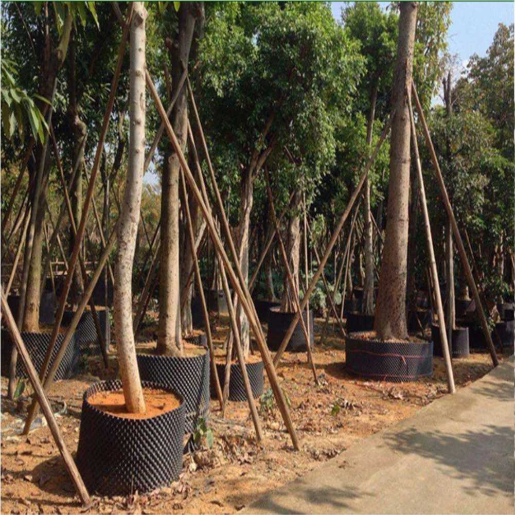 Grow Container Garden Tree Bon - Outdoor Furniture 评论和价格